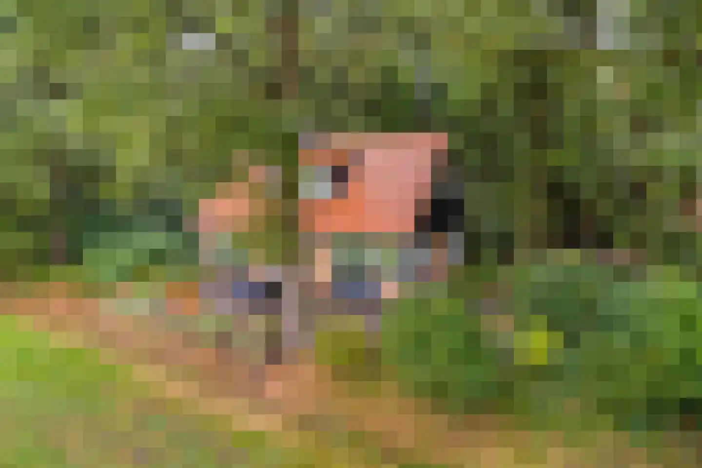 Vijverweg 6 Diepenheim thumbnail 58