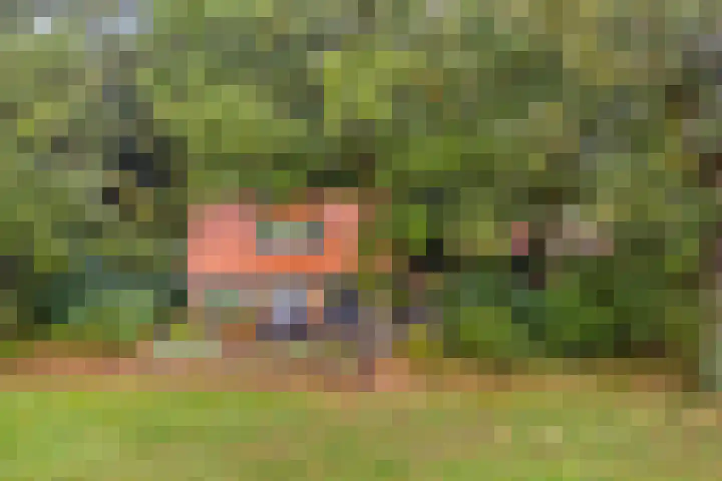 Vijverweg 6 Diepenheim thumbnail 59