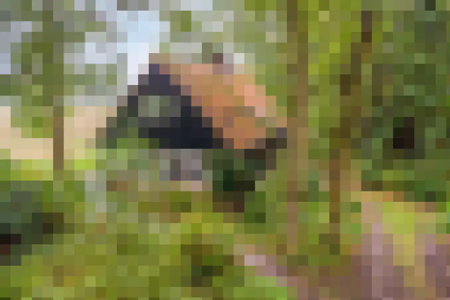 Vijverweg 6 Diepenheim thumbnail 60