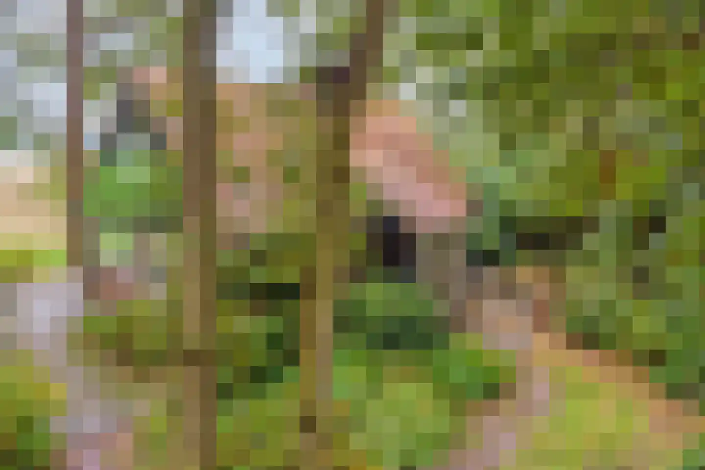 Vijverweg 6 Diepenheim thumbnail 61