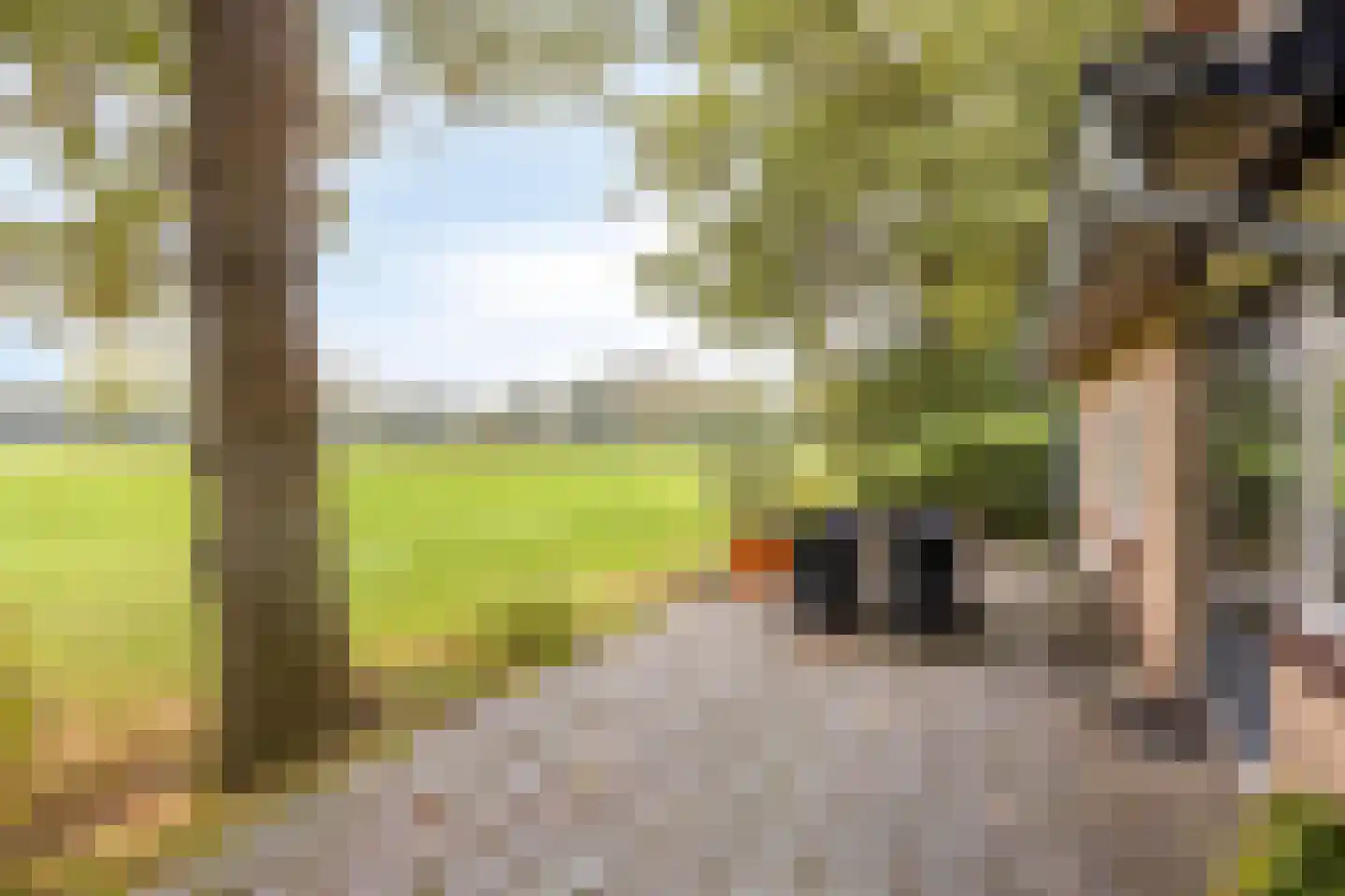 Vijverweg 6 Diepenheim thumbnail 62