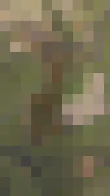 Vijverweg 6 Diepenheim thumbnail 63