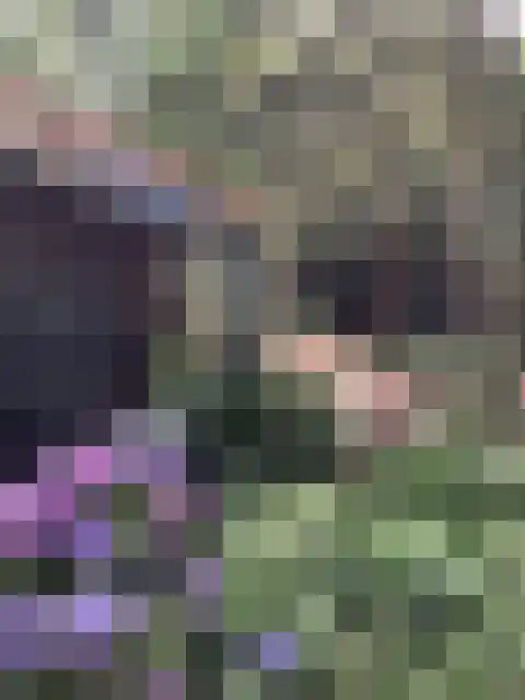 Vijverweg 6 Diepenheim thumbnail 68
