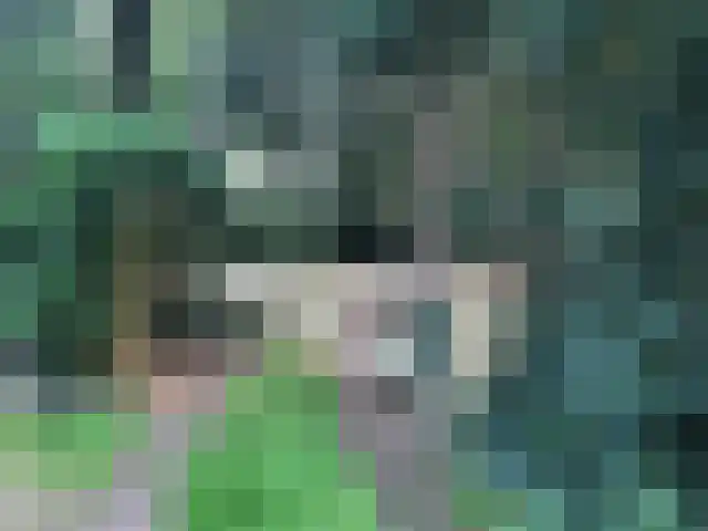 Vijverweg 6 Diepenheim thumbnail 69