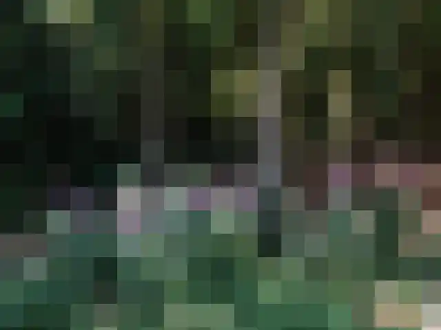 Vijverweg 6 Diepenheim thumbnail 70