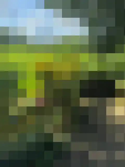 Vijverweg 6 Diepenheim thumbnail 72