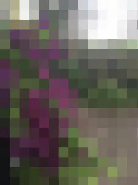 Vijverweg 6 Diepenheim thumbnail 73
