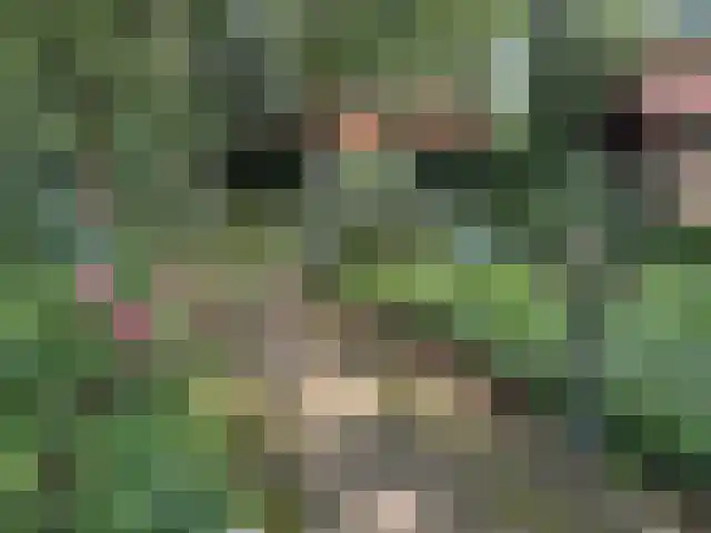 Vijverweg 6 Diepenheim thumbnail 74
