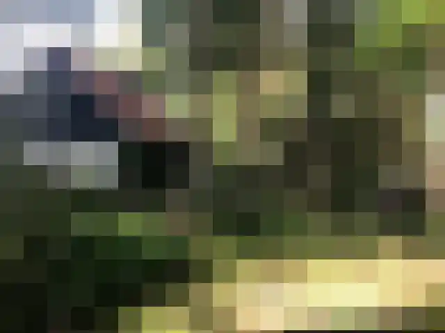 Vijverweg 6 Diepenheim thumbnail 77