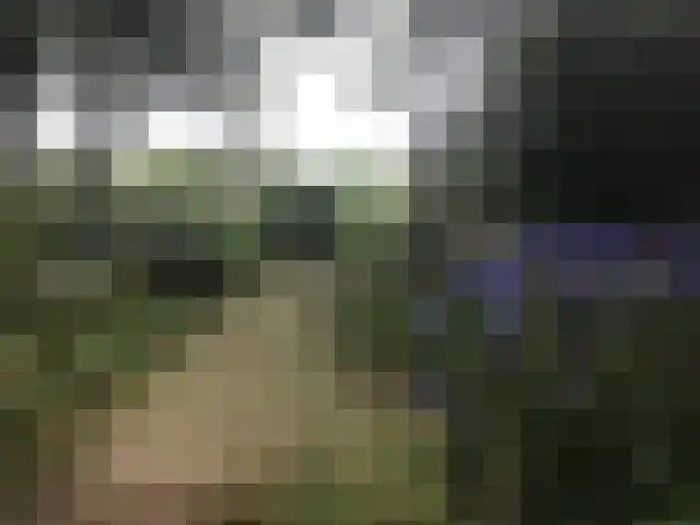 Vijverweg 6 Diepenheim thumbnail 78