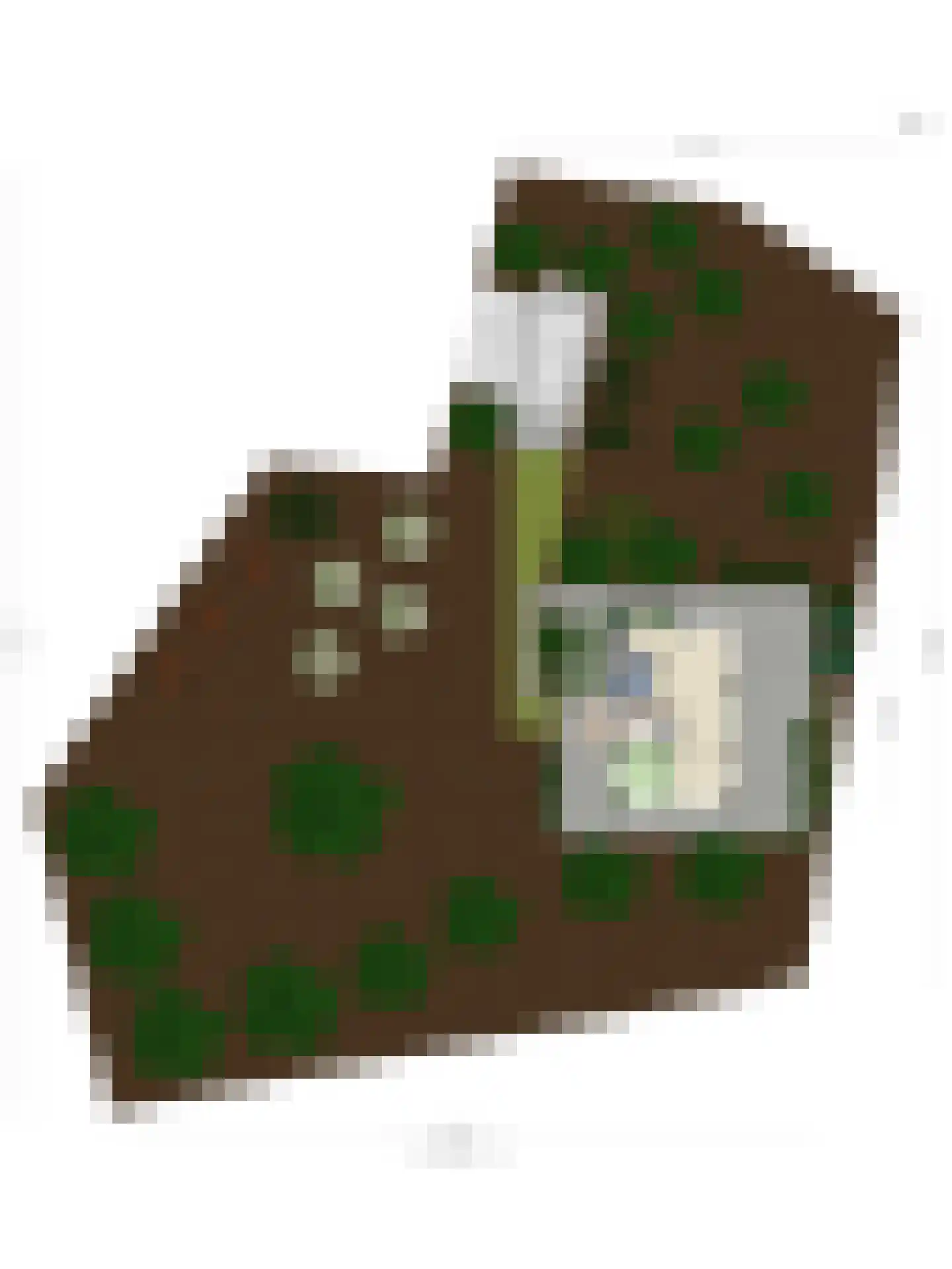 Vijverweg 6 Diepenheim thumbnail 81