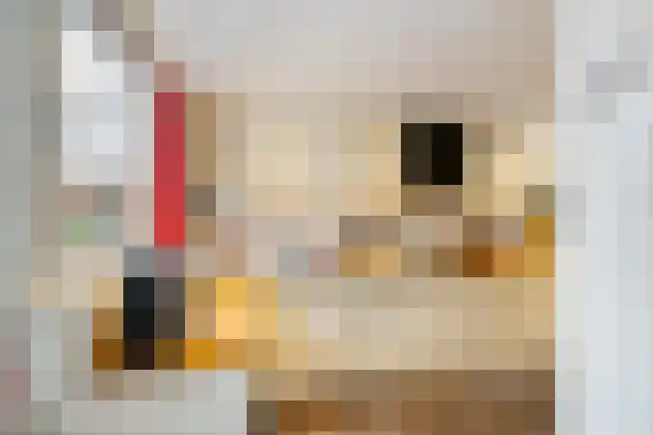 Vijverweide 4 Ten Boer thumbnail 13