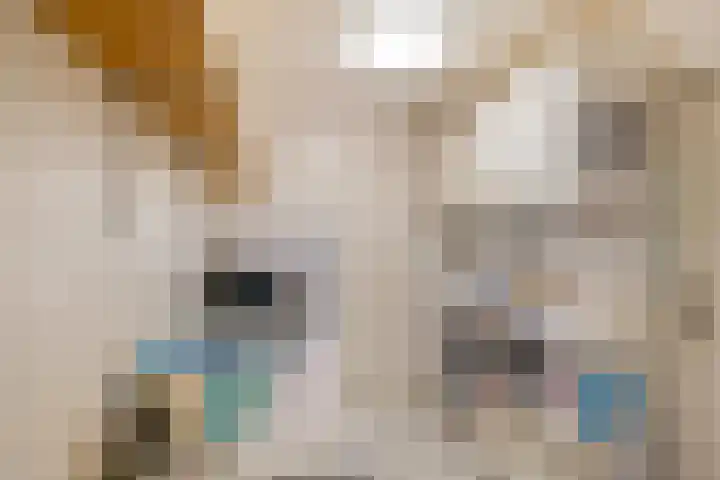 Vijverweide 4 Ten Boer thumbnail 16