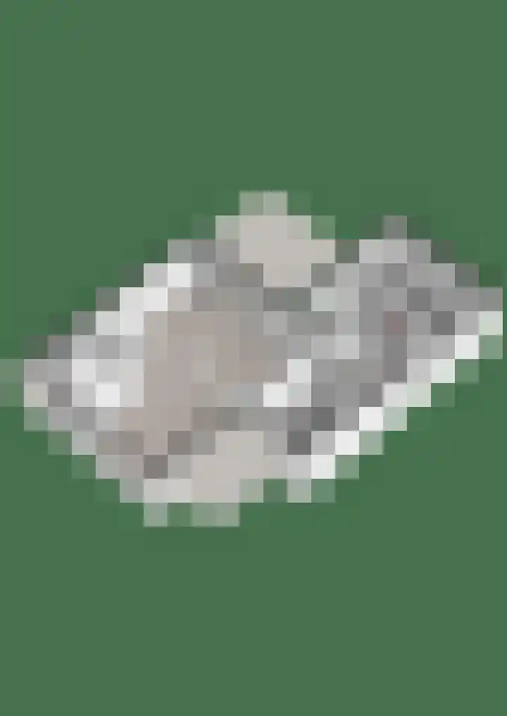 Vijverweide 4 Ten Boer thumbnail 20
