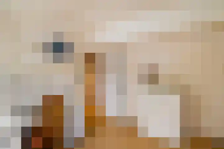 Vijverweide 4 Ten Boer thumbnail 26