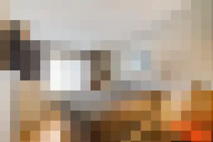 Vijverweide 4 Ten Boer thumbnail 29