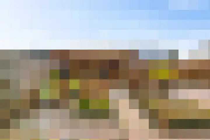 Vijverweide 4 Ten Boer foto 3