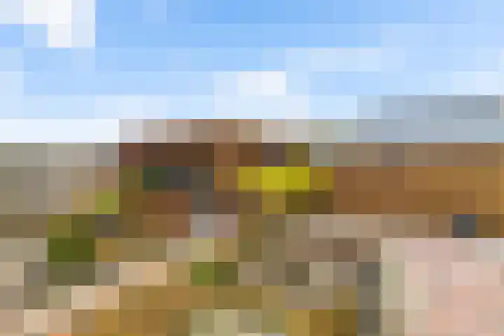 Vijverweide 4 Ten Boer thumbnail 36