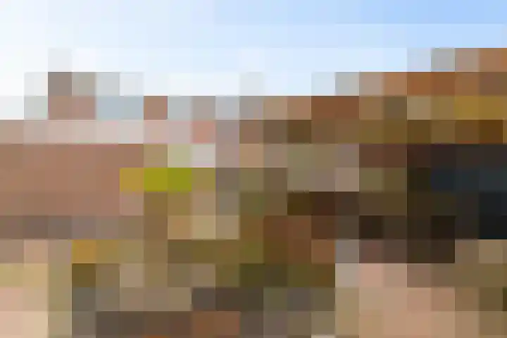 Vijverweide 4 Ten Boer thumbnail 37