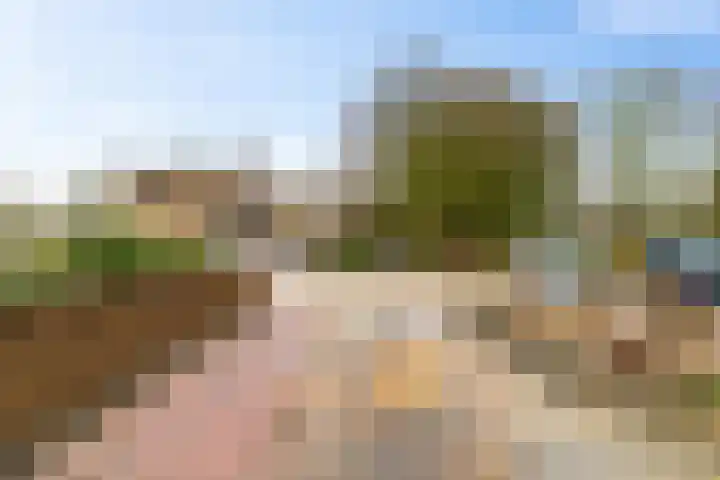 Vijverweide 4 Ten Boer thumbnail 42