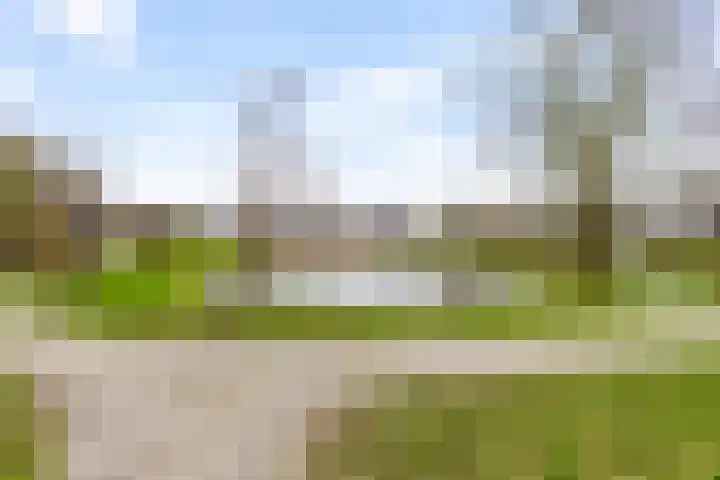 Vijverweide 4 Ten Boer thumbnail 43