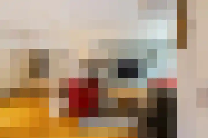 Vijverweide 4 Ten Boer thumbnail 6