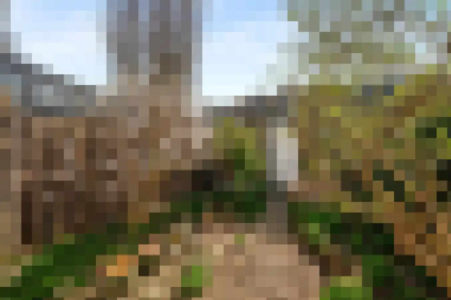 Vijverzicht 4 Nieuwerkerk aan den IJssel thumbnail 20