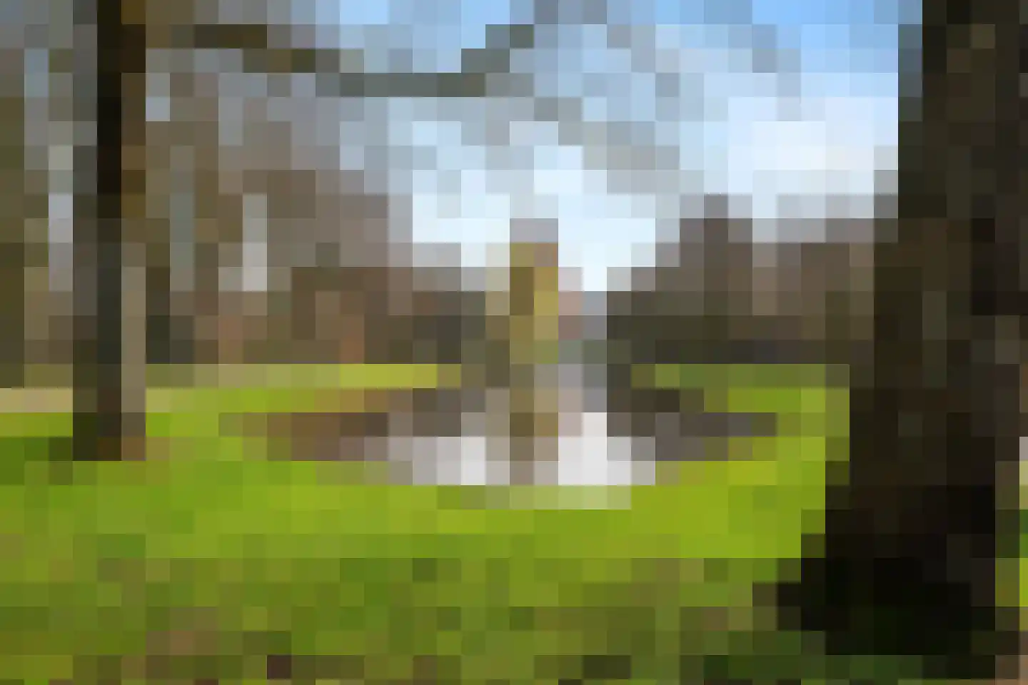 Vijverzicht 4 Nieuwerkerk aan den IJssel thumbnail 24