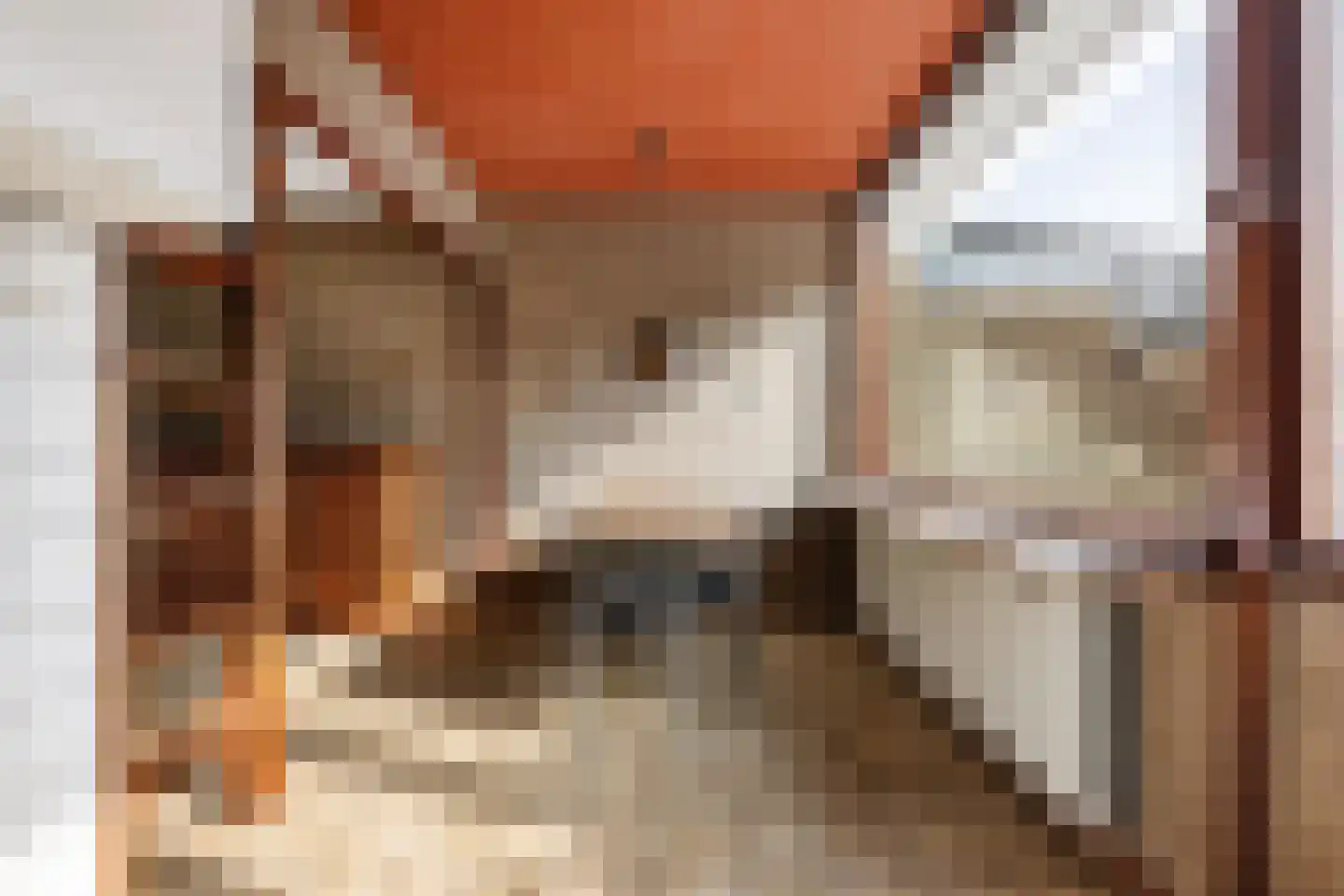 Vijverzicht 4 Nieuwerkerk aan den IJssel thumbnail 8
