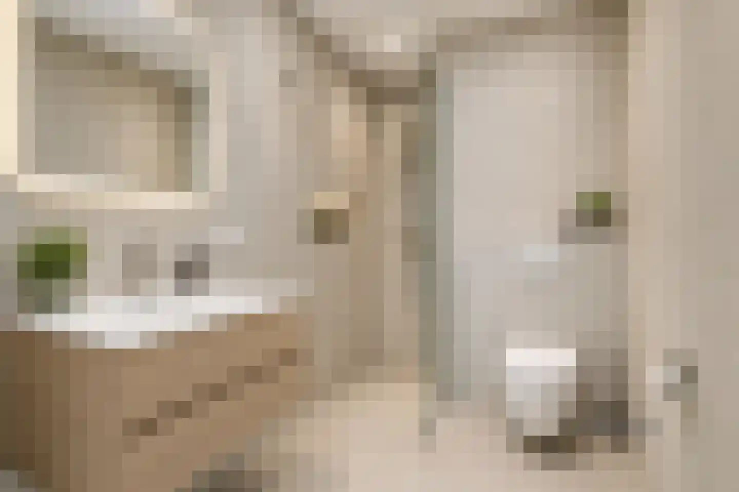 Vijzel 11 b Huissen thumbnail 12