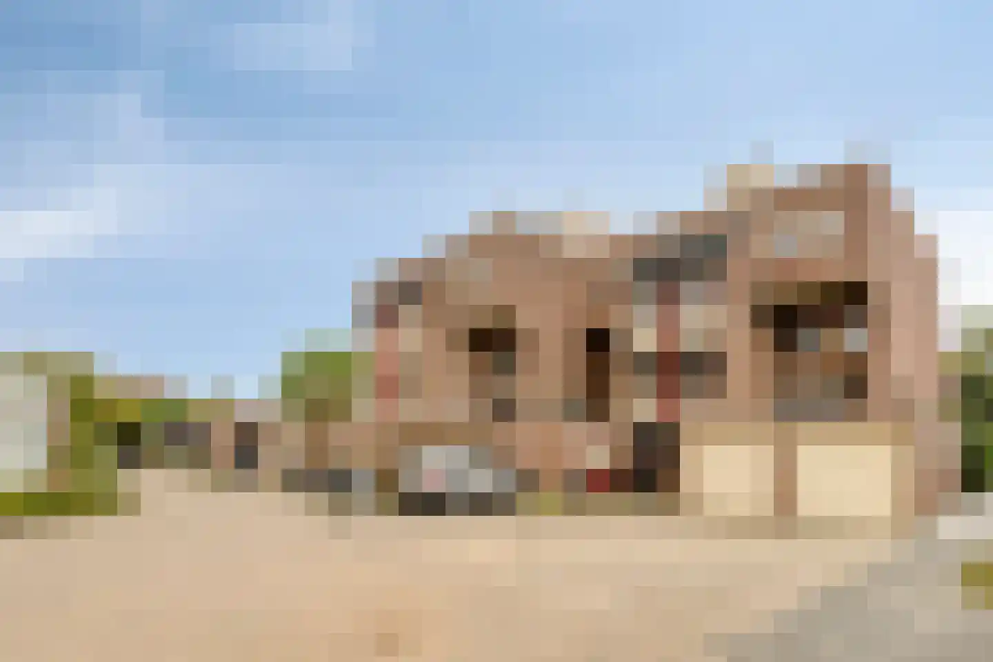 Vijzel 11 b Huissen thumbnail 16