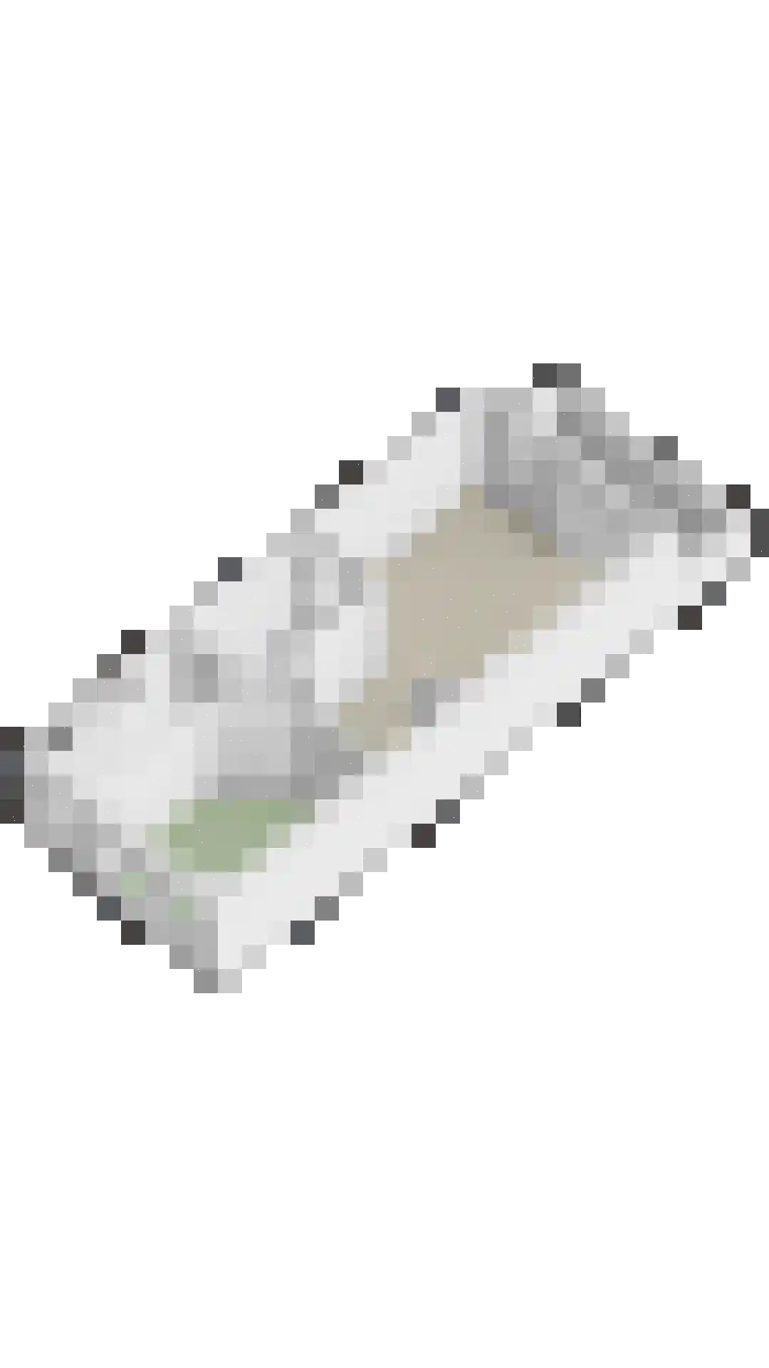 Vijzel 11 b Huissen thumbnail 23