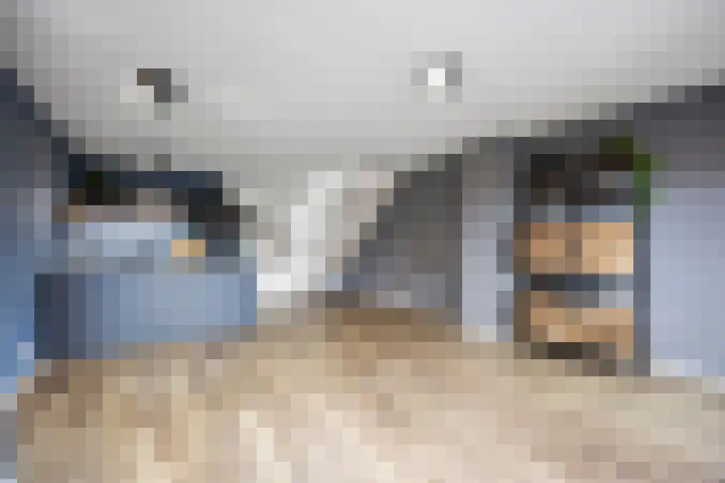 Vijzel 9 c Huissen thumbnail 12