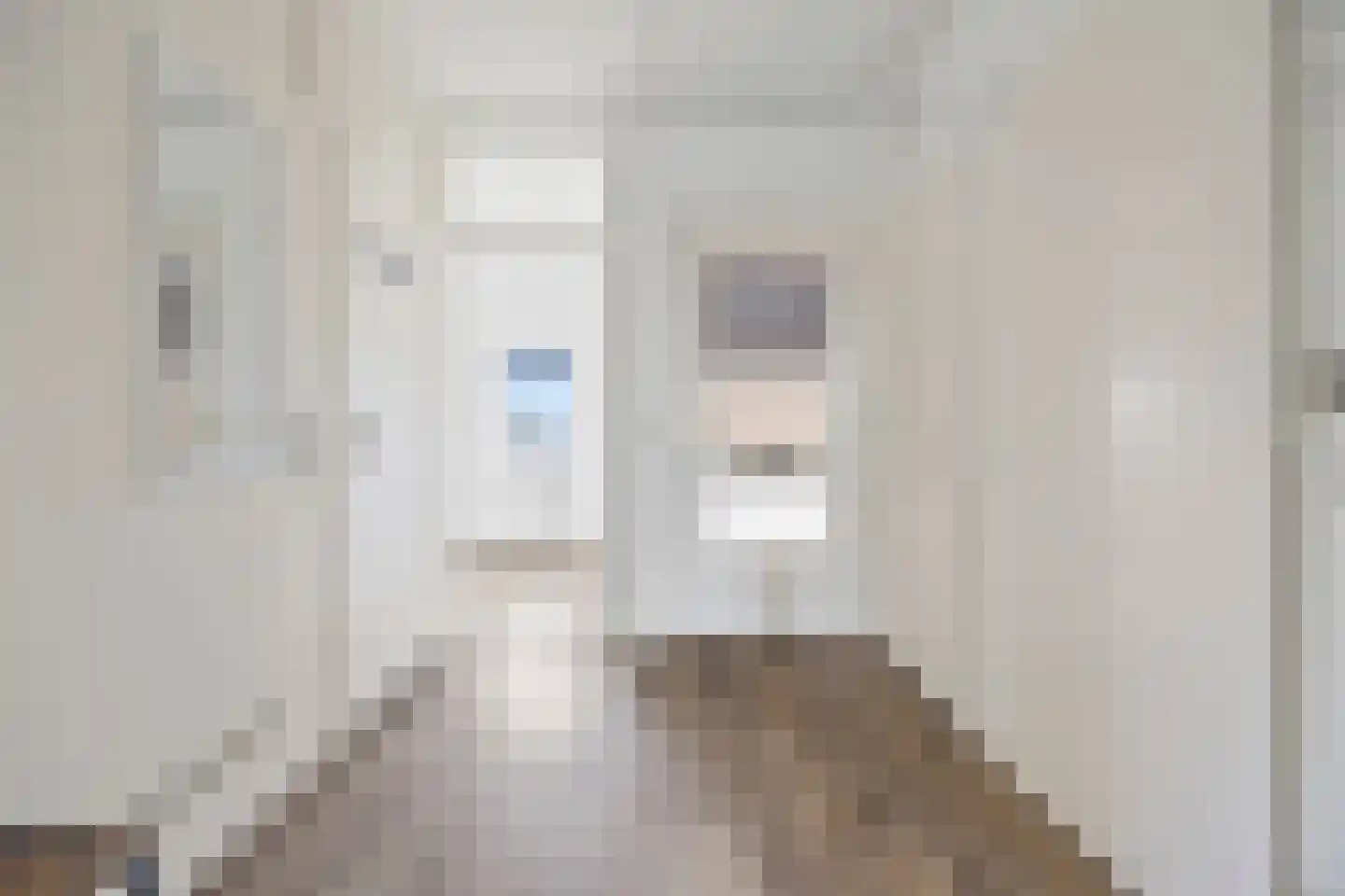 Vijzel 9 c Huissen thumbnail 13