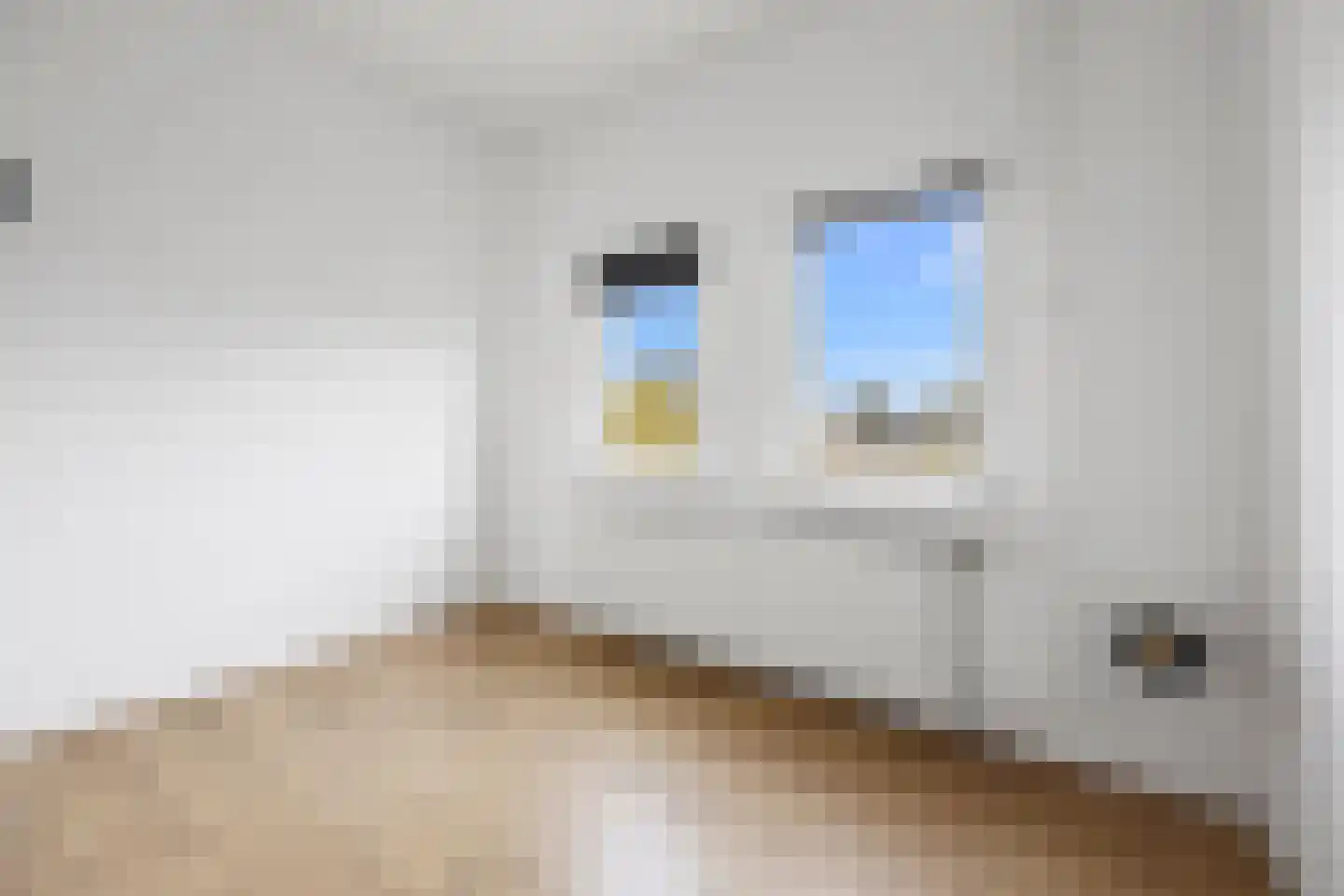 Vijzel 9 c Huissen thumbnail 14
