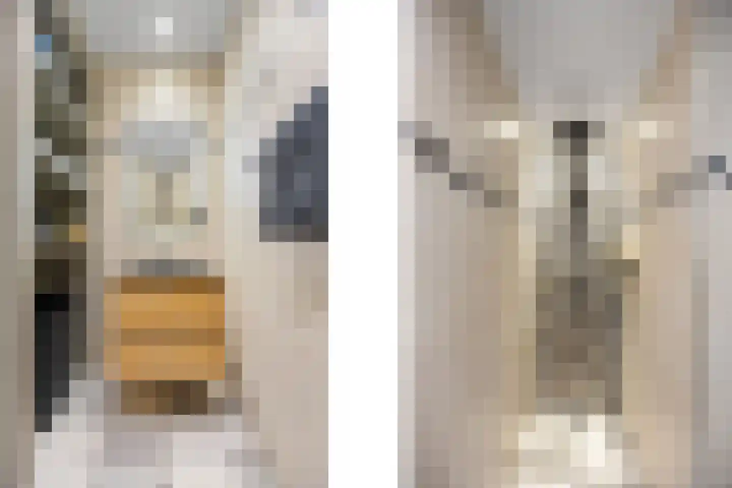 Vijzel 9 c Huissen thumbnail 17
