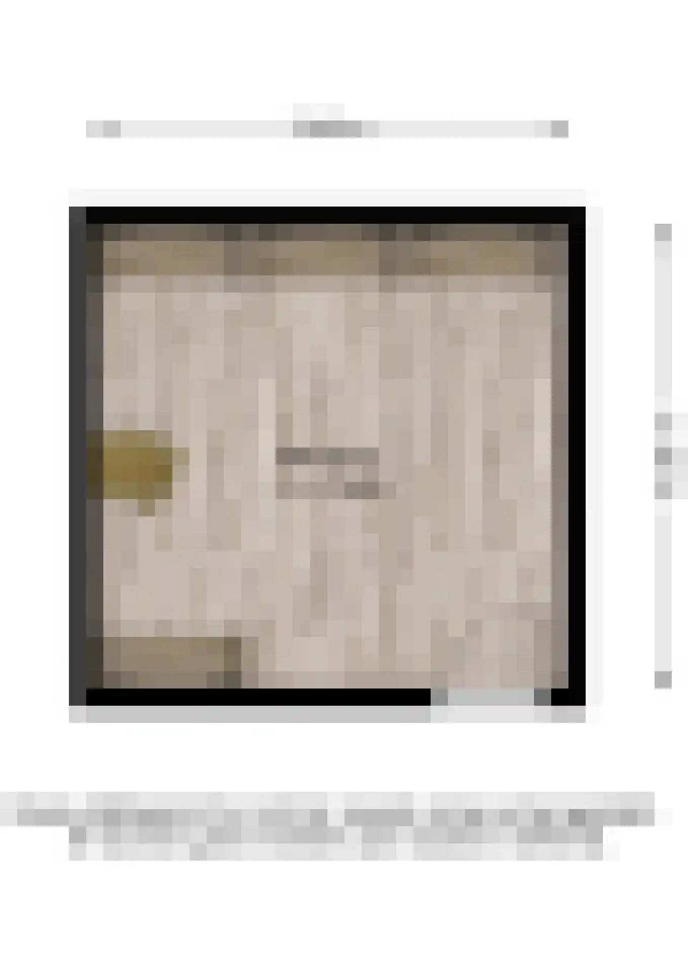 Vijzel 9 c Huissen thumbnail 28