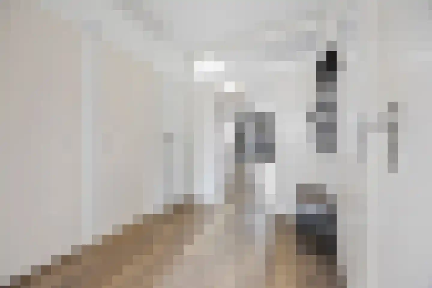 Vijzel 9 c Huissen thumbnail 6