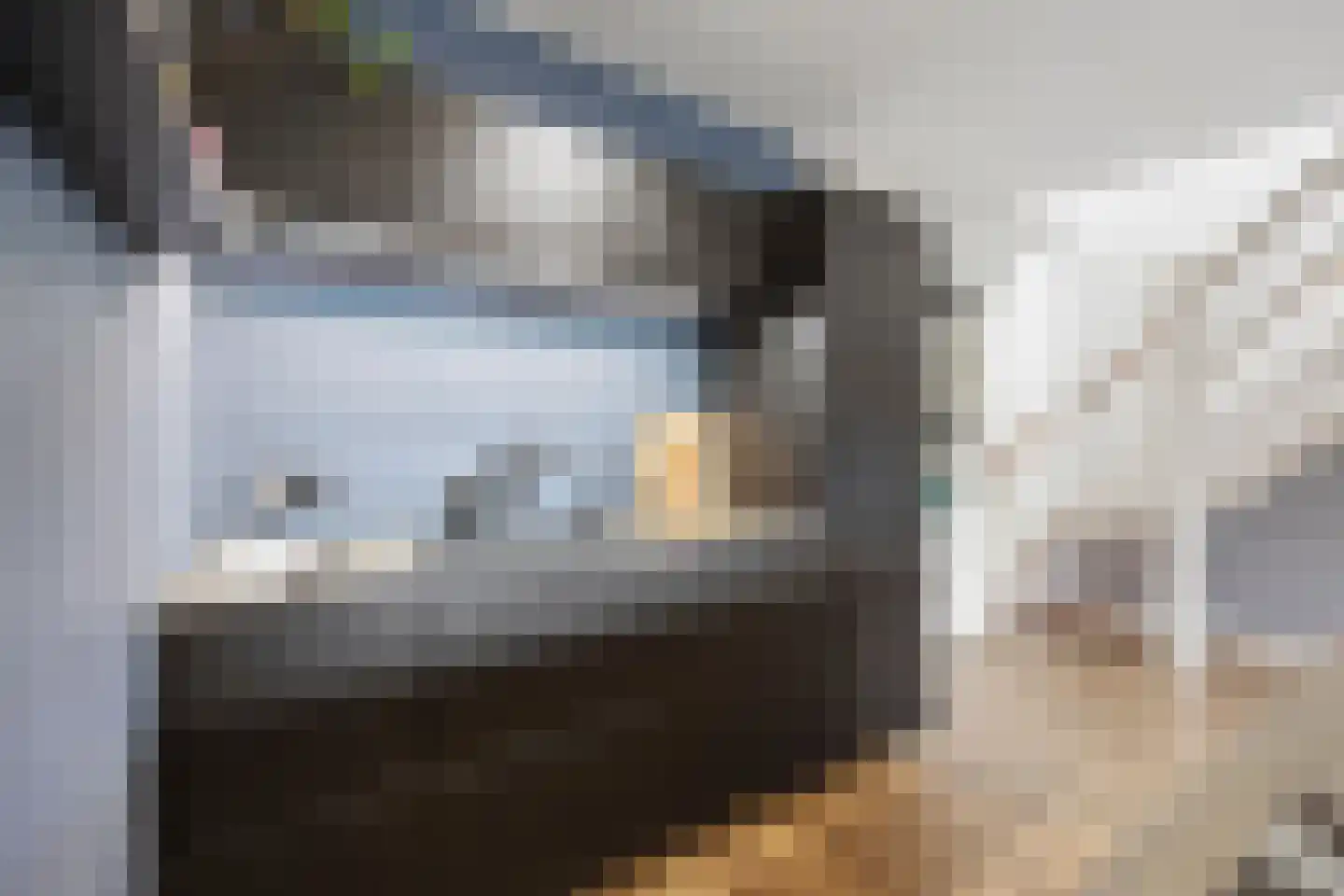 Vijzel 9 c Huissen thumbnail 8