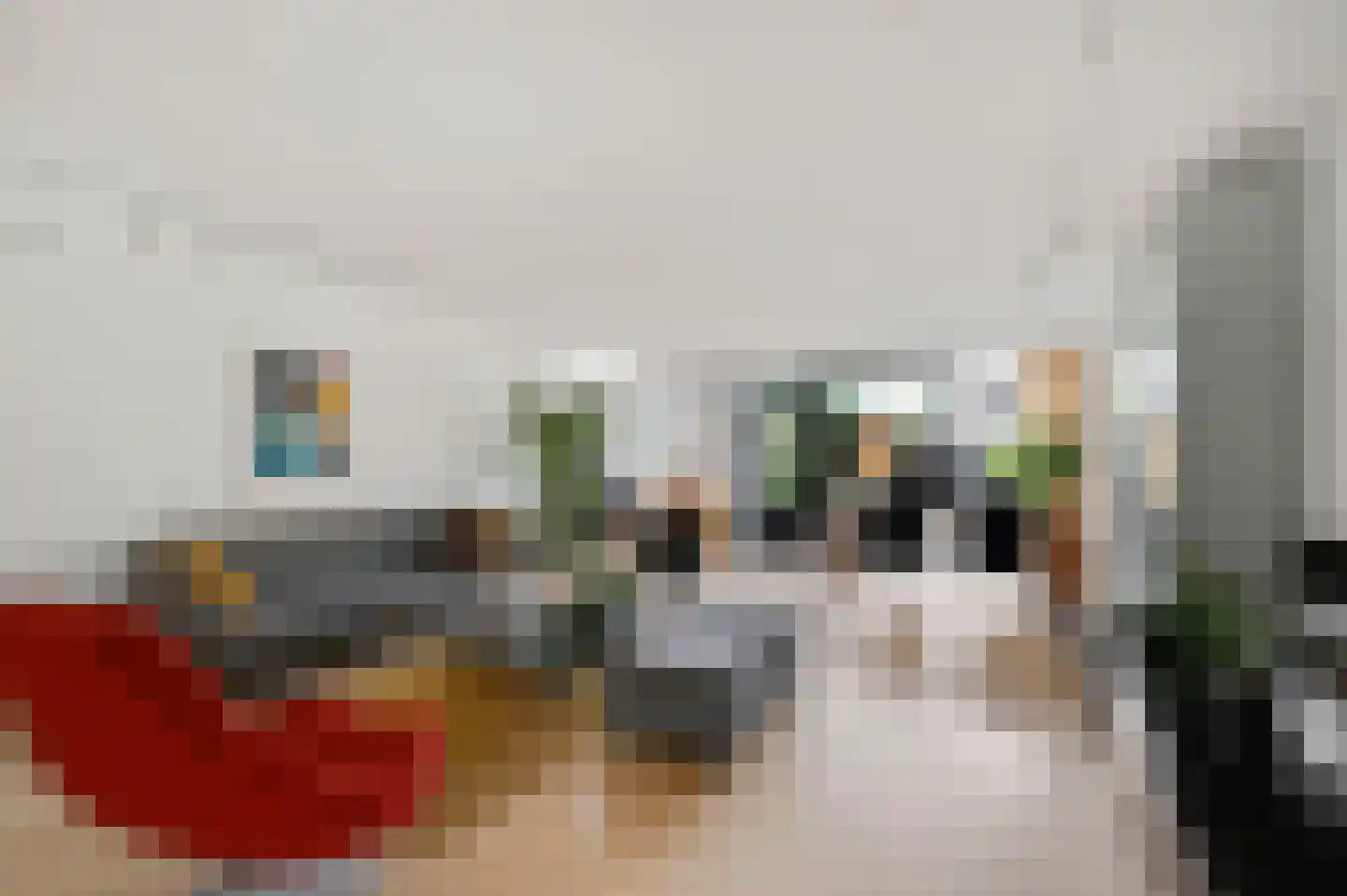 Vijzelmolen 10 Maassluis thumbnail 10
