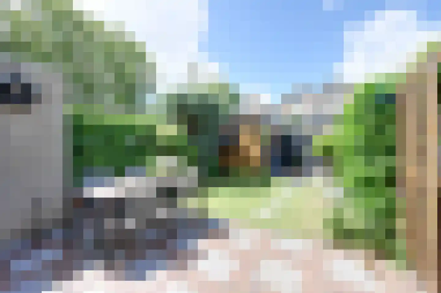 Vijzelmolen 10 Maassluis thumbnail 13
