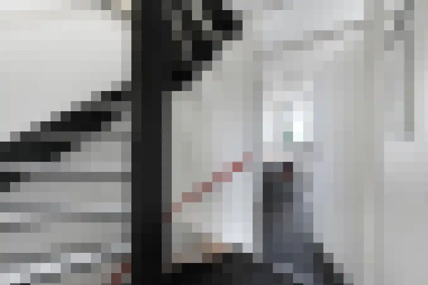 Vijzelmolen 10 Maassluis thumbnail 16