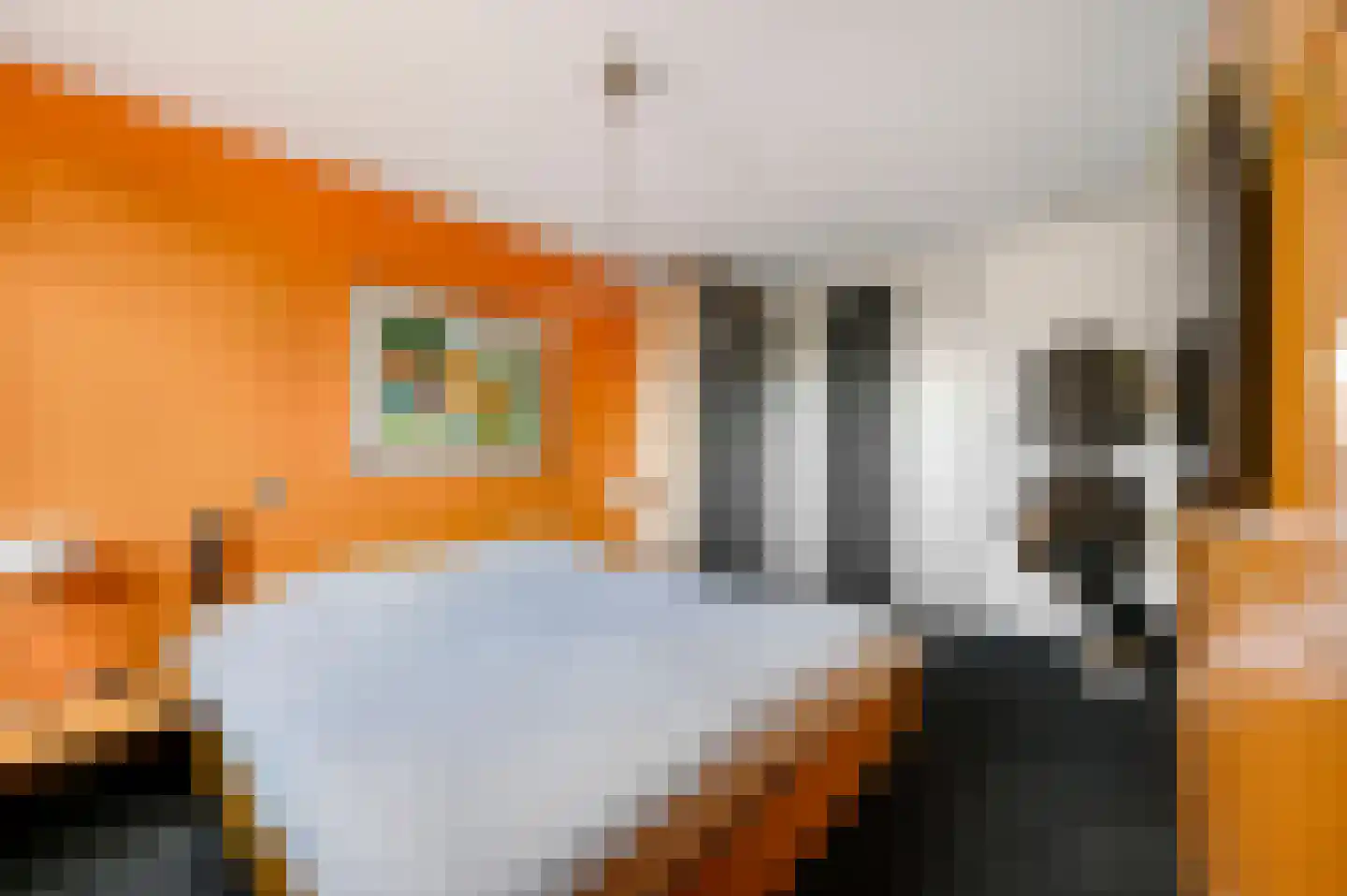 Vijzelmolen 10 Maassluis thumbnail 21