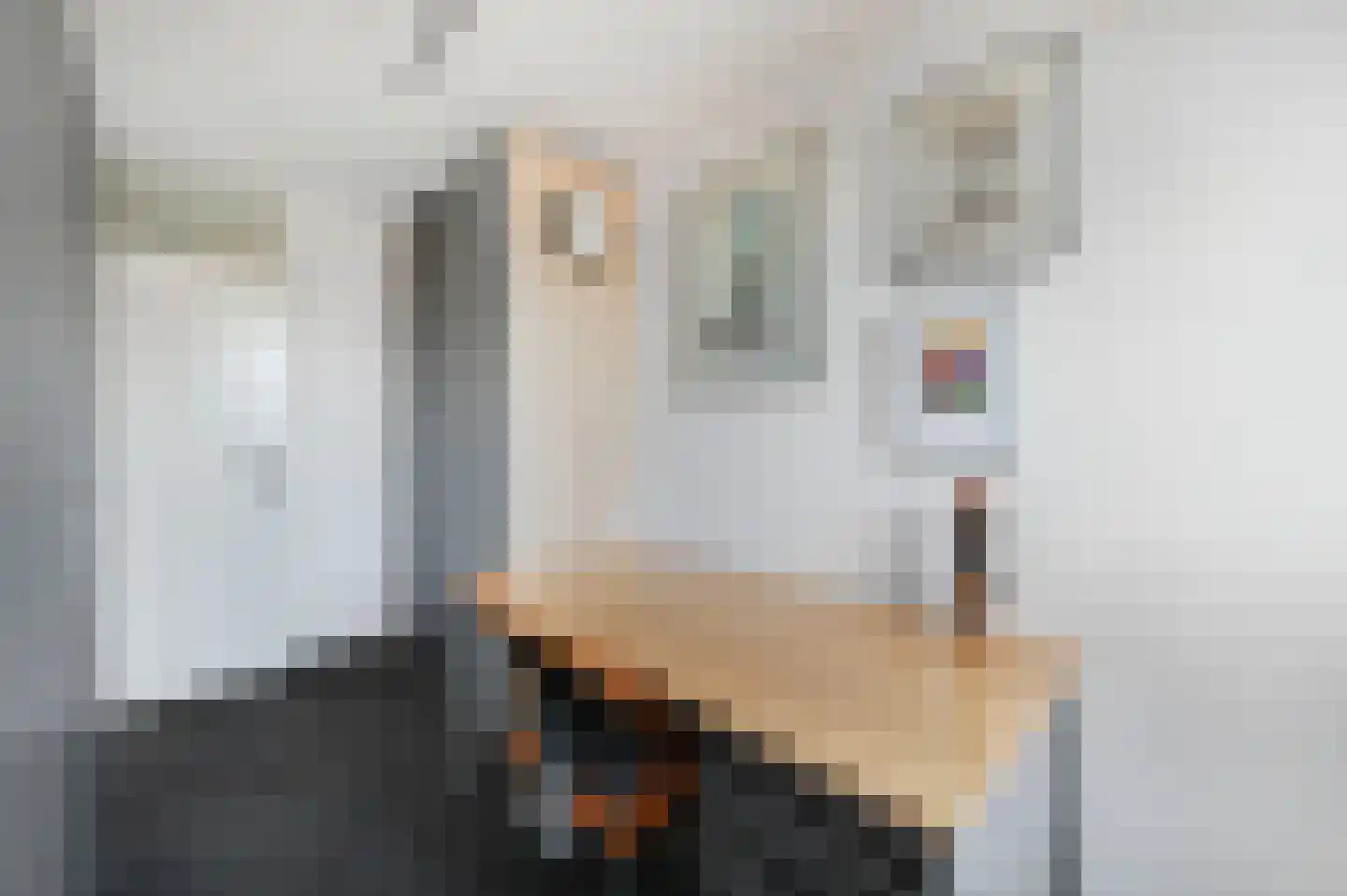 Vijzelmolen 10 Maassluis thumbnail 22
