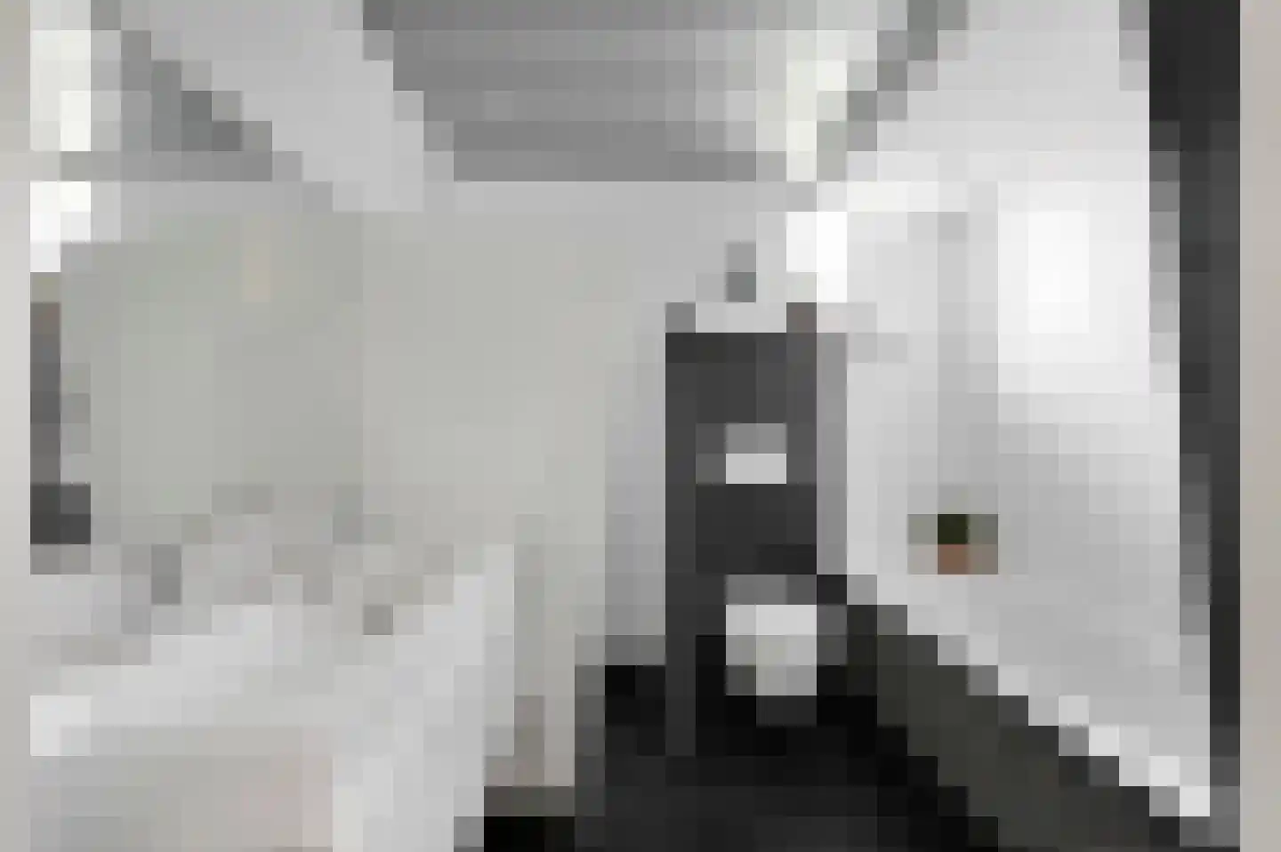 Vijzelmolen 10 Maassluis thumbnail 25