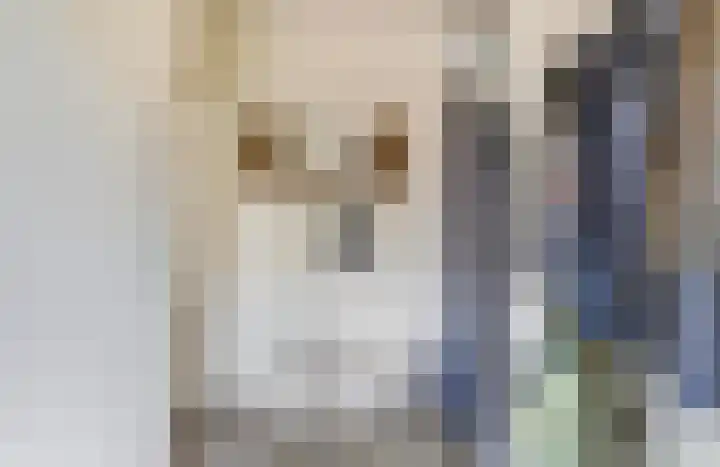 Vijzelmolen 5 Maassluis thumbnail 10