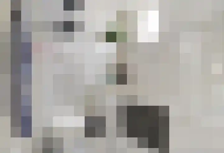 Vijzelmolen 5 Maassluis thumbnail 15