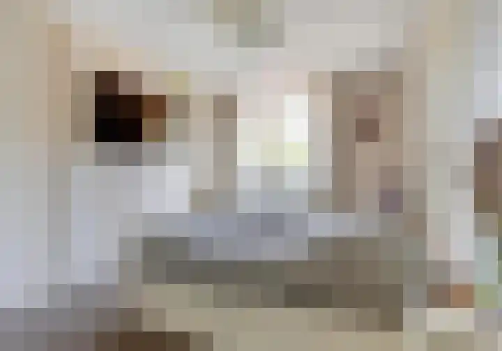 Vijzelmolen 5 Maassluis thumbnail 25