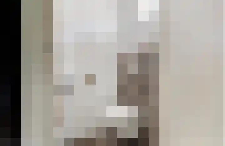Vijzelmolen 5 Maassluis thumbnail 8