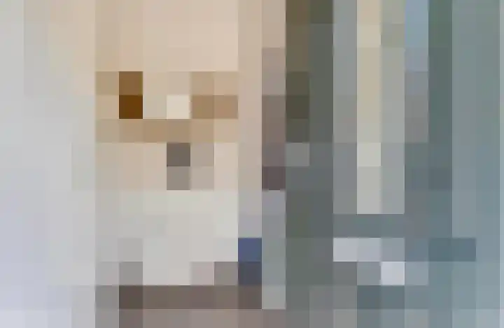 Vijzelmolen 5 Maassluis thumbnail 9
